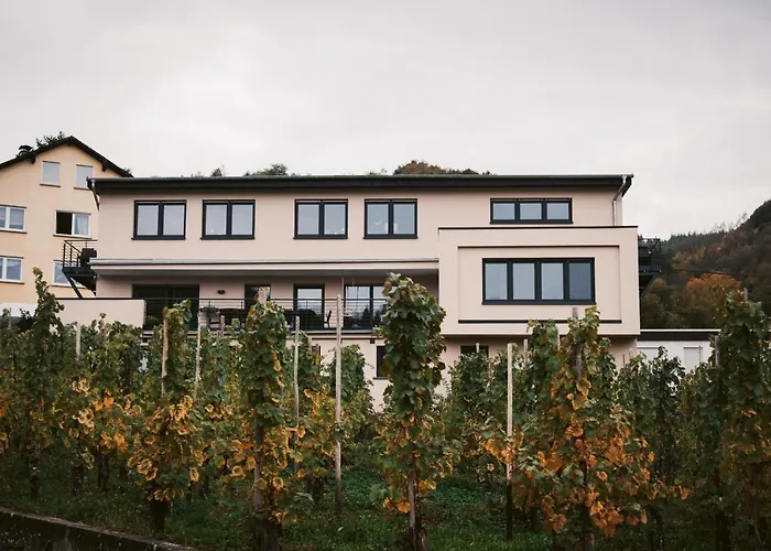 Weingut Meurer