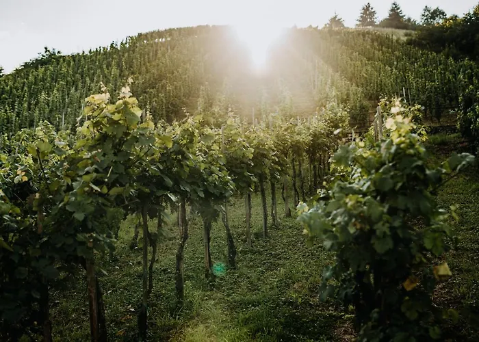 Weingut Meurer